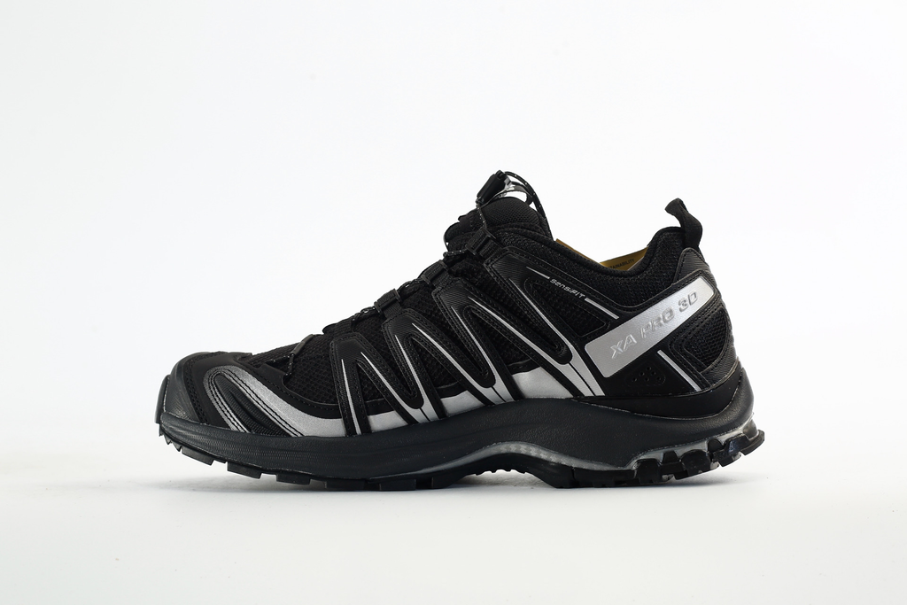 Salomon XA Pro 3D GTX Black Silver Men Outdoor Hiking Shoes